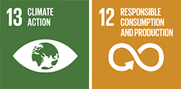 SDG 13: জলবায়ু পদক্ষেপ, SDG 12: দায়িত্বশীল ভোগ ও উৎপাদন